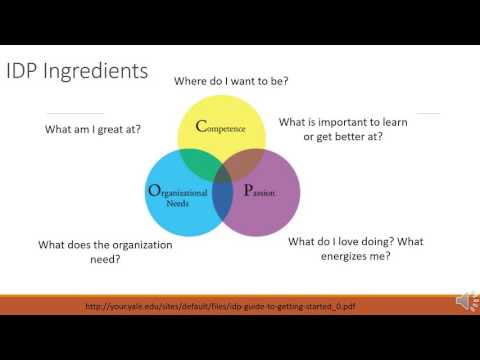 Individual Development Plan: What is it?