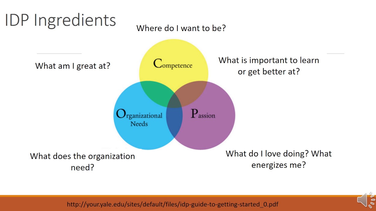 Individual Development Plan: What is it?
