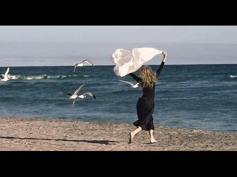 Fariborz Lachini "Desire To Stay"