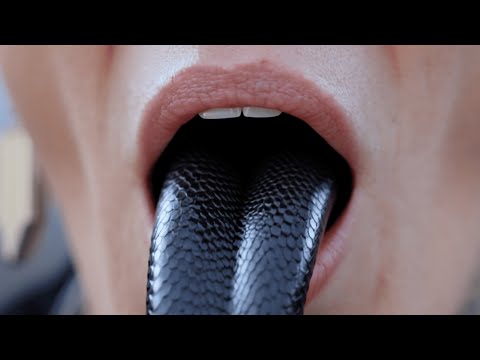 Cassie Raptor - RAPTOR