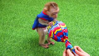 Giant Rainbow Fruit Lollipops Color 🐵🐵🐵 Cute Monkey Pretend Play And Eat Lollipop