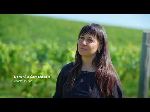 Náhled pro video reference