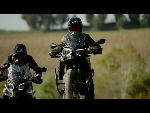 Morbidelli T1002VX