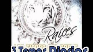 El Golpe Traidor__Los Tigres del Norte Album Raices (Año 2008)