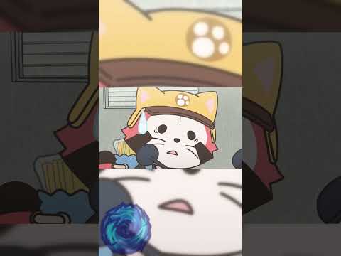 Araiguma Calcal-dan episode 16 #shorts #ygymtranxyz