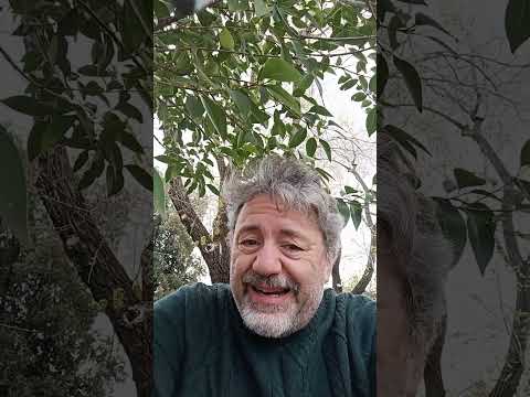 La fine del mondo secondo Chatgpt