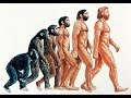Documentary Science - Evolve: How We Got In the Shape We Are in