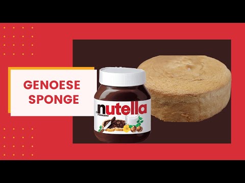 Genoise Sponge - Nutella Mousse - Hazelnut Praline