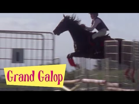 Grand Galop 110 - L'Apprentissage de la vie (Partie 1) | HD | Épisode Complet
