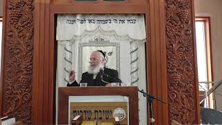 הרב אשר וייס | "תענו את נפשותיכם" עיון במסכת יומא והכנה לראש השנה (ישיבת אפיקי דעת שדרות) - התמונה מוצגת ישירות מתוך אתר האינטרנט יוטיוב. זכויות היוצרים בתמונה שייכות ליוצרה. קישור קרדיט למקור התוכן נמצא בתוך דף הסרטון הרב אשר וייס | "תענו את נפשותיכם" עיון במסכת יומא והכנה לראש השנה (ישיבת אפיקי דעת שדרות) - התמונה מוצגת ישירות מתוך אתר האינטרנט יוטיוב. זכויות היוצרים בתמונה שייכות ליוצרה. קישור קרדיט למקור התוכן נמצא בתוך דף הסרטון