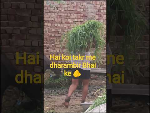 Dharambir Bhai open challenge #shorts #trending #viral #dharamveer #funny #motivation #ytshorts