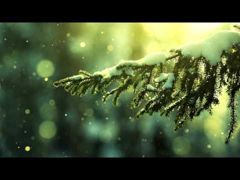 Fonik ft. Jody - Resolutions [Dubstep]