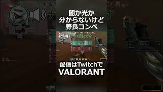 めちゃくちゃ楽しかった野良コンペ#shorts
