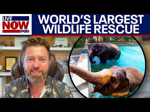 Video | 'World's Largest" - Forrest Galante on new wildlife rescue reserve