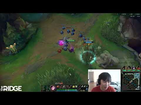 Doublelift talks about the support players and that role in general