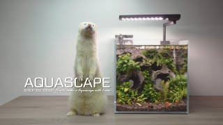 Caves Aquascape l Galaxy Rasbora