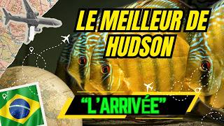 🇧🇷 😱 DIRECTION LE BRÉSIL avec Hudson Crizanto | Discus Sauvages et Plecos de Collection