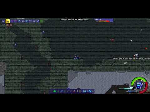 Terraria True Hell Bone Lee