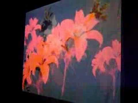 Sander End @ Airwalk (Perron55, 09-06-07)