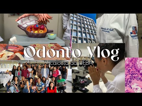 🦷ODONTOVLOG | rotina de terça e quarta do primeiro semestre de Odontologia na UFBA💗✨