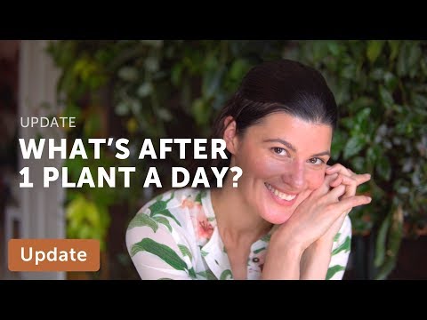 What's Next Now that "365 Days of Plants" is Complete?