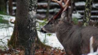 Let It Snow, Let It Snow, Let It Snow!