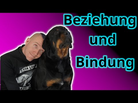 Hör nicht auf die "Hundeschule!" Warum Du und Dein Hund eben doch eine gute Bindung habt!