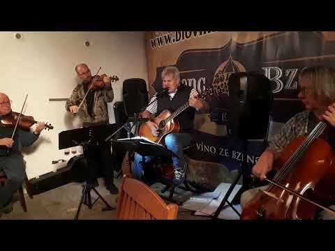 Holubí Dům - Jiří Schelinger (cover)