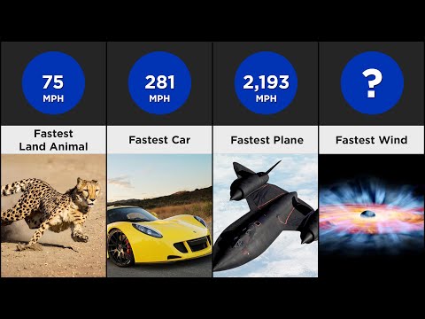 Speed Comparison - Fastest Things In The Universe