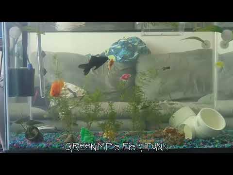 The Snow Plow Show Episode 788 - Roof Leaping