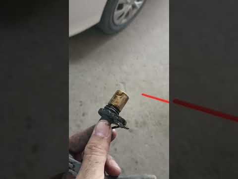 Crankshaft Position Sensor