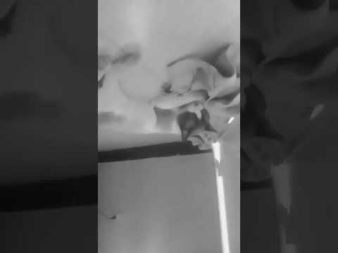 3 de octubre de 2025