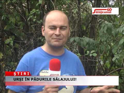 URSI IN PADURILE SALAJULUI