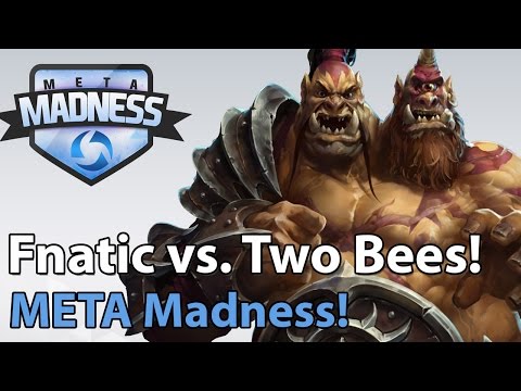 ► META Madness: Fnatic vs. Two Bees Determined - Heroes of the Storm