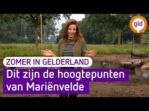 Zomer in Gelderland in Mariënvelde: de hoogtepunten