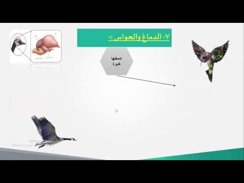 أحياء 2- ثانوي مقررات - مراجعة الفصل الثاني( الزواحف والطيور)- المعلمة: منى  الأحمري /نجران