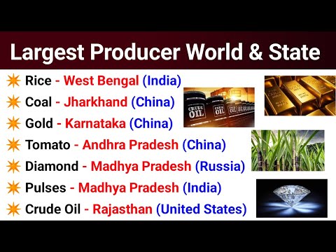 List Of Largest Producers Indian States & World |General knowledge Important Questions For All Exams
