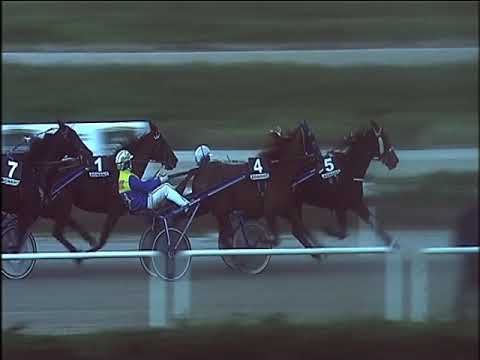 Trotto 24/12/2019 - 6ª corsa