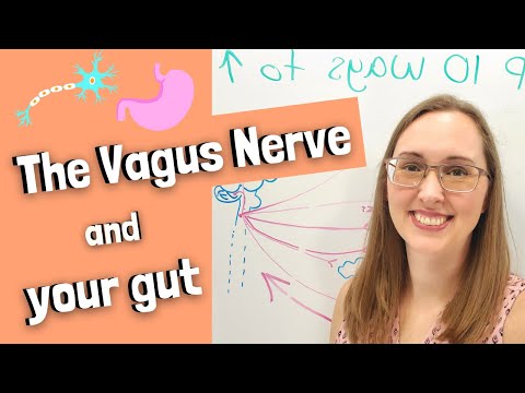 The Vagus Nerve and your gut