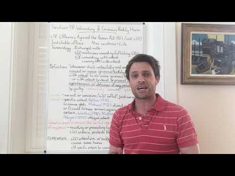 Law - Section 18 wounding and grievous bodily harm