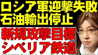 【ウクライナ情勢】ロシア軍の迎撃失敗。黒海のノヴォロシスク石油ターミナルが爆破され、輸出が停止。ウクライナ軍は新規作戦としてシベリア鉄道の破壊攻撃を実施。鉄道貨物に打撃