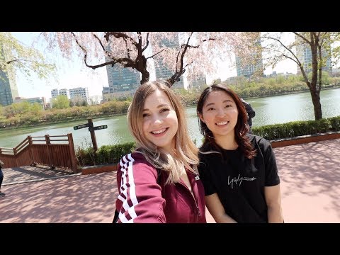 韓国・ソウルの石村湖の春の日 ? (A Spring Day at Seokchon Lake in Seoul, Korea ?봄날)