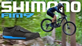 The best enduro MTB shoes you never heard of! Shimano AM9