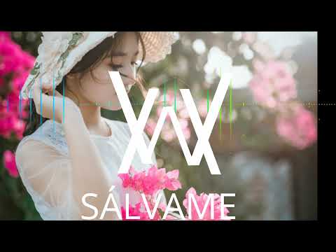 Alan Walker🎶 AckorensenD 🎵  Sálvame  New Song 2022 😍
