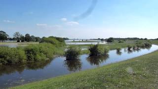 preview picture of video 'Elbe Hochwasser am Zollenspieker Hauptdeich am 09.06.2013'