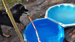 La saison des piscines est ouverte!!
