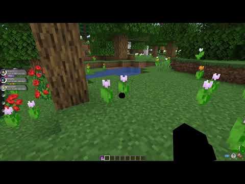 How to Find Shaymin in Pixelmon