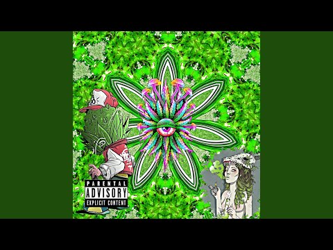 Medley dos Envolvidos