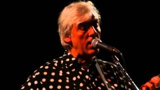 Robyn Hitchcock feat. Antonio Gramentieri - Not dark yet (Firenze, Spazio Alfieri, Nov 23rd 2013)