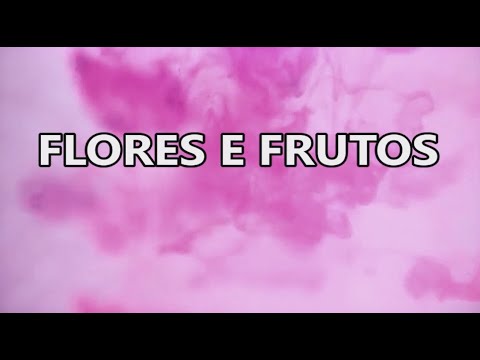 Flores E Frutos - Bianca Toledo